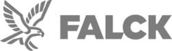 Logo / Falck Helse / Et tverrfaglig behandlingstilbud / Drammen Kiropraktikk og Helse / Kiropraktor og fysioterapeut